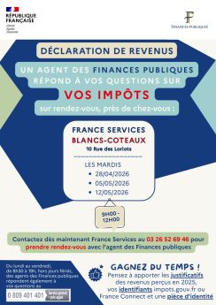affiche aide impôts